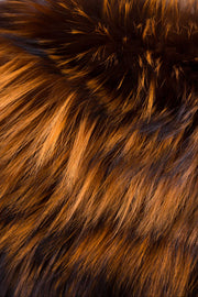 Bufanda Petit renard